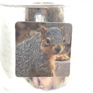 Squirrel Magnet